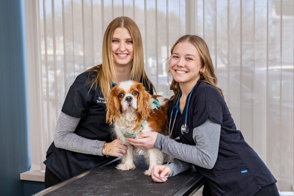 Great-Road-Veterinary-Hospital-Portrait_072-980x653