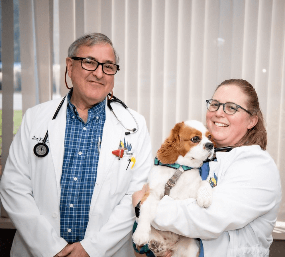 Great Road Veterinary Hospital Vets with puppy dog